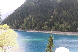 秀丽湖景与葱郁山林