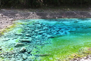 梦幻蓝绿相间的清澈水域