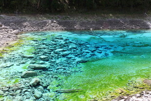 清澈蓝绿相间的美丽水潭