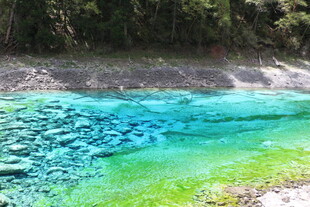 清澈多彩的山间碧潭