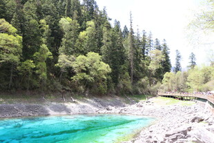 山间碧湖 森林环绕美景