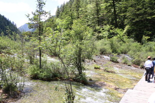 山间小径上的徒步者