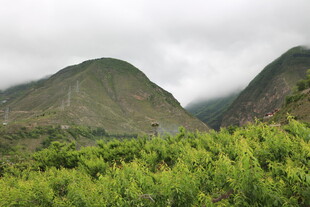 山间绿意浓 云雾绕青山