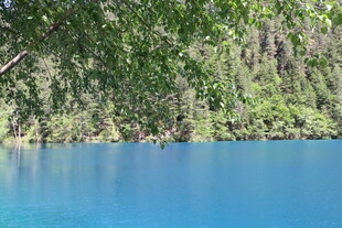 蓝湖美景 周边绿树环绕