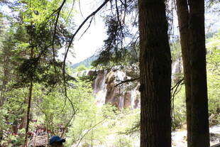 山林间的隐秘瀑布景观