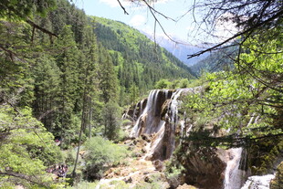 山间瀑布旁的翠绿景致