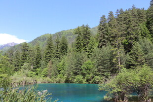 山间蓝湖 林木环绕美景