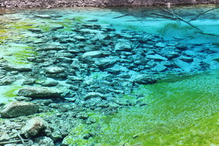 清澈水底的多彩石块景观