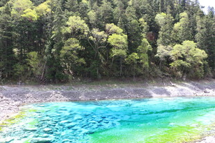 翠绿山林旁的蓝绿湖水