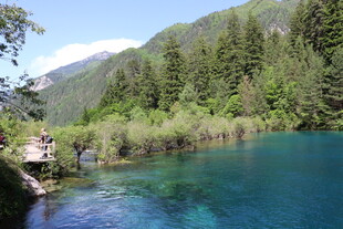 清澈蓝湖旁的山林美景
