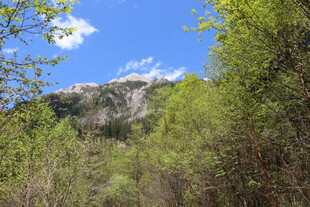 山林绿意 蓝天相伴