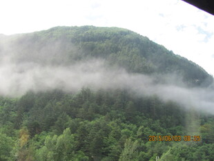 云雾缭绕的葱郁山林