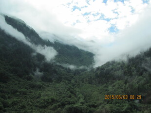 云雾缭绕的山间翠绿景色