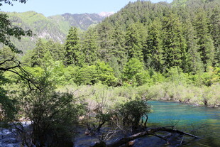 山间幽蓝湖水与葱郁林木