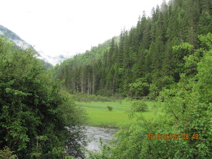 山间溪边绿意盎然的景致