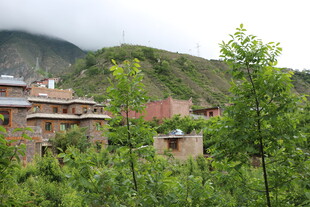 山间村落 绿树环绕的民居