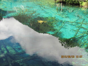 清澈海面下的绚丽海底世界