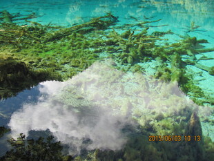 水下奇幻景观 云影映绿苔