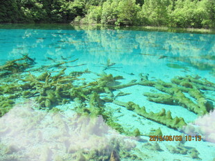 清澈蓝绿湖水与水下景观