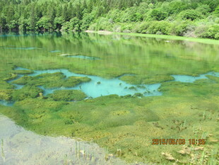 清澈碧绿的山间静谧湖泊