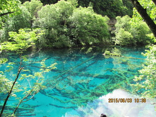 清澈蓝绿的森林幽潭