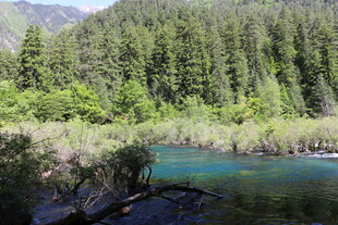 山间幽蓝河流与葱郁林木