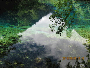 森林中的梦幻云雾景观