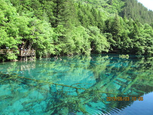 清澈碧绿的山林湖泊美景