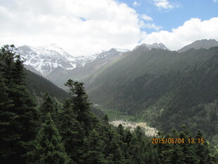 雪山下的葱郁山林风光