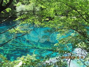 翠绿环绕的澄澈蓝湖