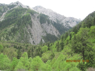 青山翠谷间的秀丽山林景色