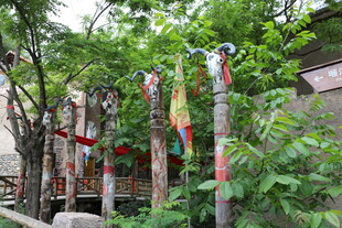 古旧木架挂饰于绿植间