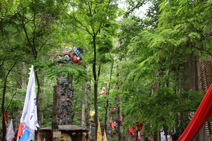 森林中的多彩装饰景观