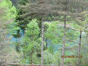 森林中的幽蓝湖泊风光