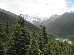 山林间的壮丽雪山景观