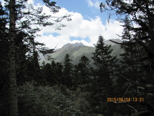 山林间远眺青山美景