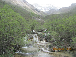 山间溪流穿行于葱郁植被间