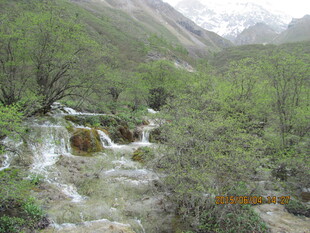 山间溪流穿林而过