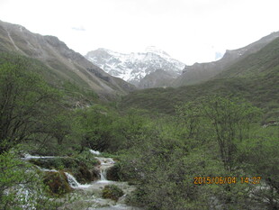 山间溪流与葱郁山林美景