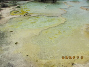 清澈浅滩水下景象