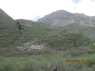 山间绿意盎然的自然景致