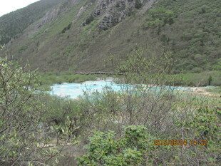 山间蓝湖旁的繁茂植被