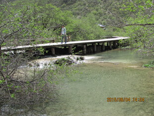 山间木桥横跨清澈溪流