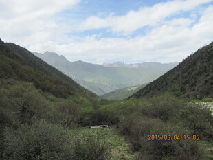 山间景色 绿意盎然的山谷