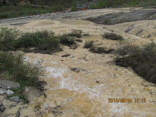 山间浑浊溪流与岸边植被
