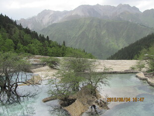 山间清澈溪流与葱郁植被