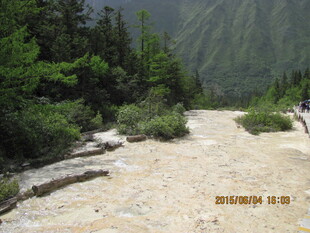 山间湍急溪流穿行于绿树间