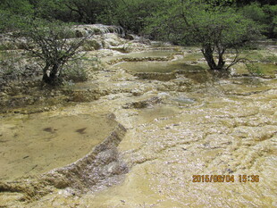 干旱土地上的稀疏植被