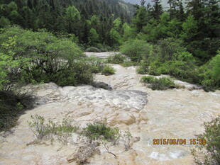 山间湍急溪流 绿意环绕