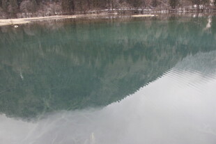 平静湖水倒映岸边景致